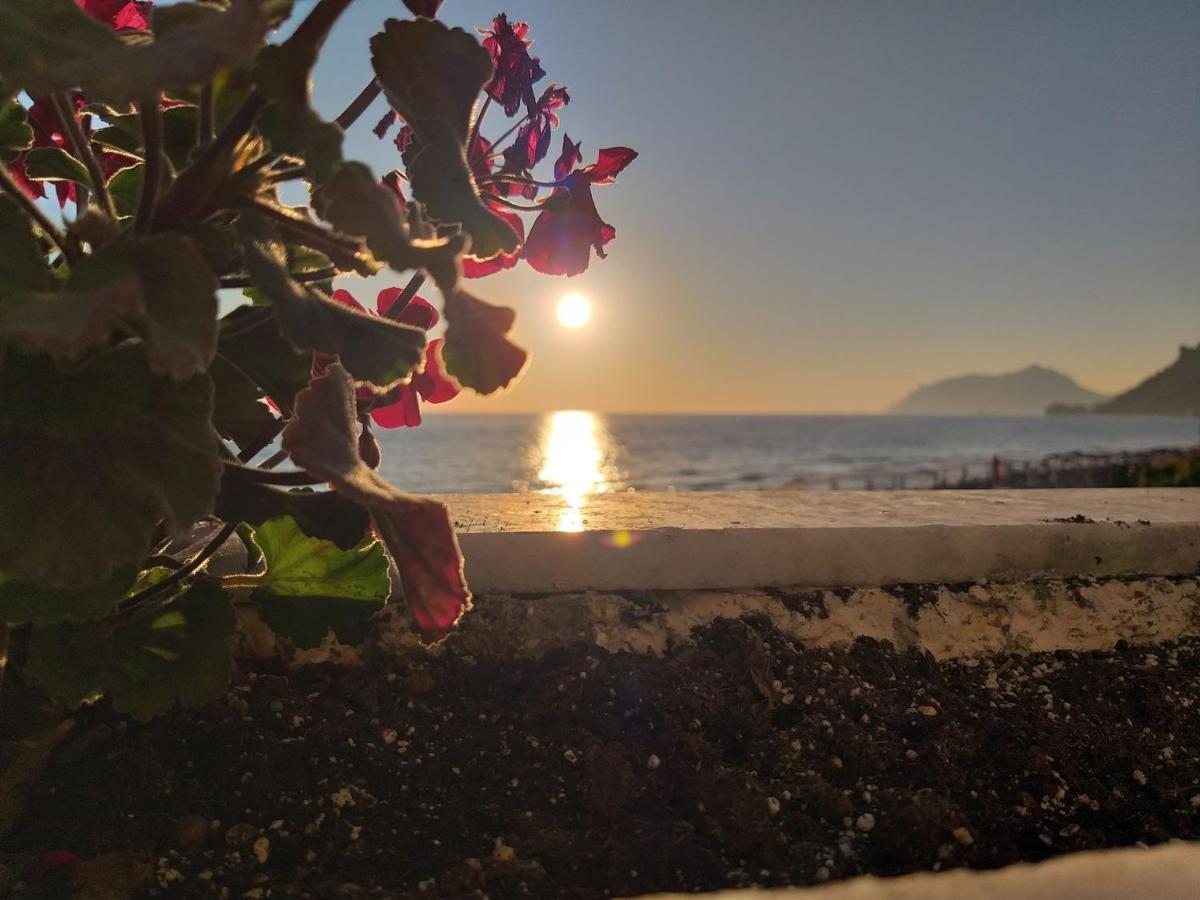 Nereides Apartments Agios Gordios  Dış mekan fotoğraf